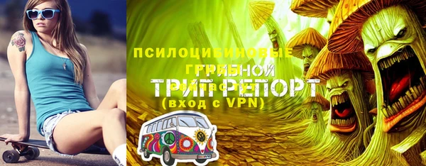 ГАЛЛЮЦИНОГЕННЫЕ ГРИБЫ Нягань