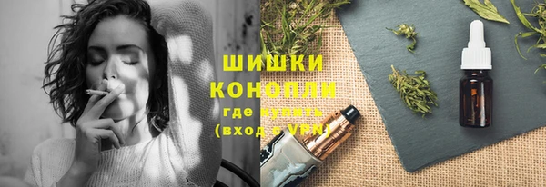 крисы Ветлуга