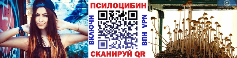 Галлюциногенные грибы Magic Shrooms  наркотики  Полярный 
